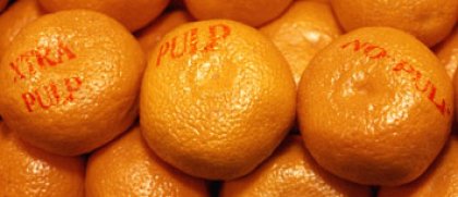 orangesphotodisc.jpg