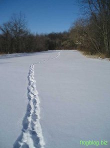 Path in the Snow