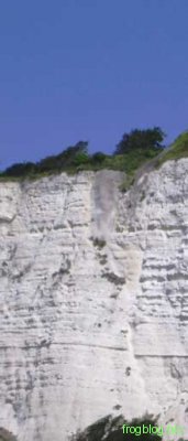 dover
