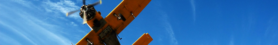 Frog Blog Rotating Header Image